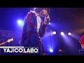 YAJICO GIRL - Airride at YAJICOLABO 2023[Official Live Video]