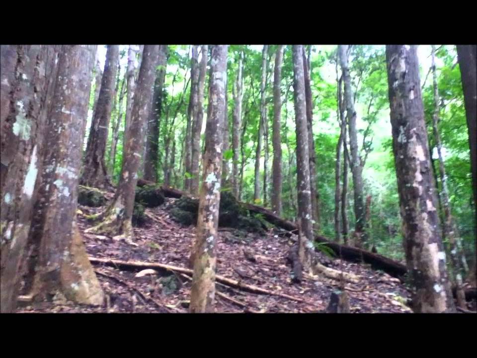 It's More Fun in the Philippines - BOHOL - YouTube