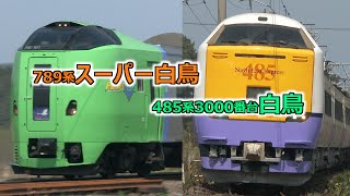 惜別、特急白鳥号・特急スーパー白鳥号 JR東日本の485系3000番台とJR