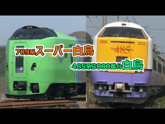惜別、特急白鳥号・特急スーパー白鳥号 JR東日本の485系3000番台とJR