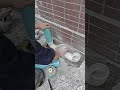 🔥 Viral SEO Title:Amazing PPR Pipe Threading & Plumbing Installation Trick | Fast Pipe Fitting