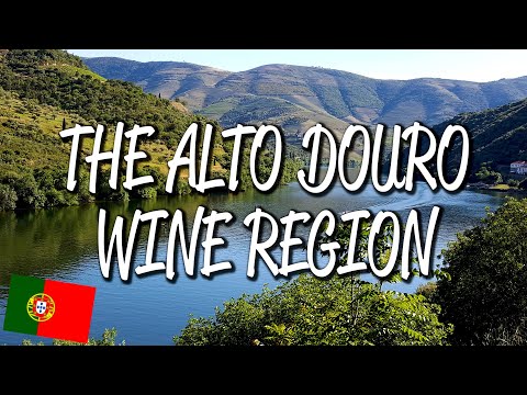 Alto Douro Wine