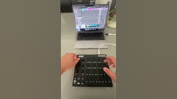 Fun with distortion 🙌🏽 #musicproduction #musicproducer #producer #flstudio #albeton