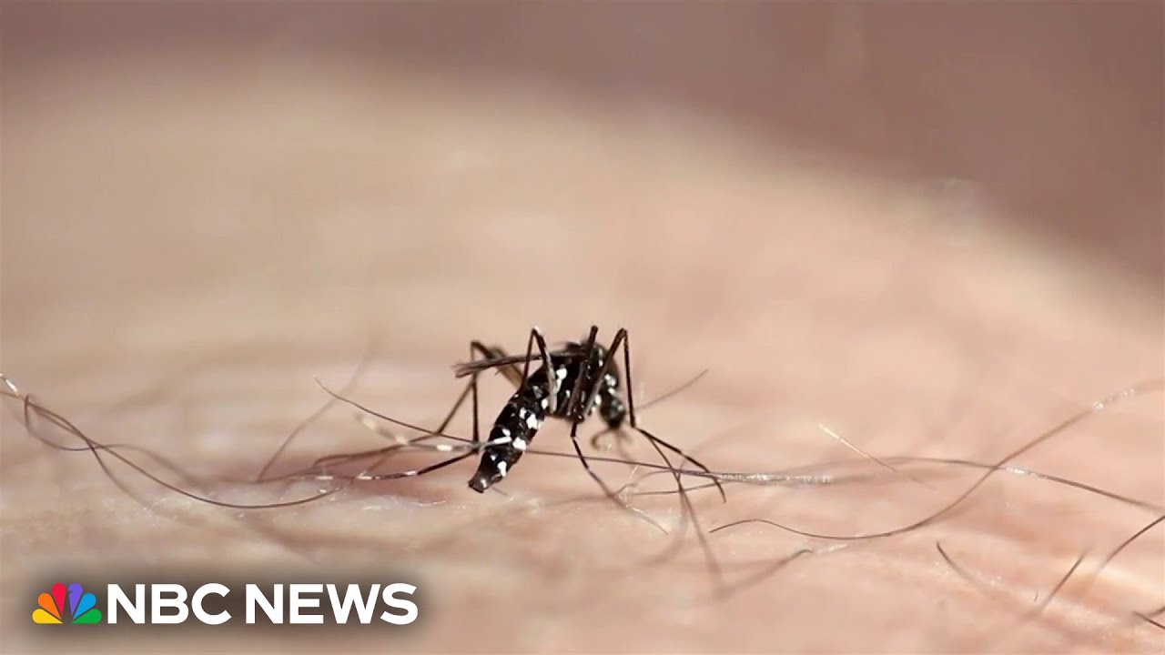 Man in Colorado hospitalized with West Nile virus as more cases reported