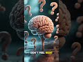 Have You Noticed Your Mind Isn’t As Sharp As Before?