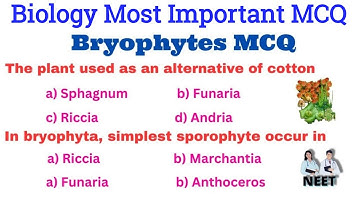 Bryophytes MCQ | Plant Kingdom MCQ | Biology MCQ For NEET 2026