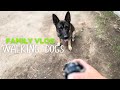 Walking the dogs