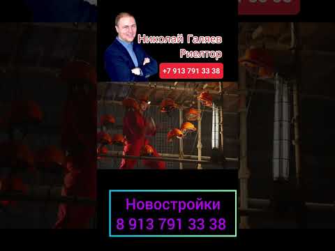 Бейне: Новосибирскідегі «Подсолнух» сауда орталығы: сипаттамасы, мекенжайы, дүкендері