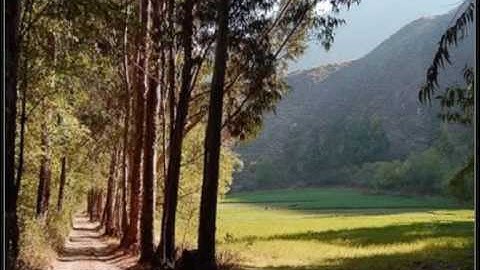 تلاوة بصوت عذب من سورة الملك - أترك لكم التعليق !!!