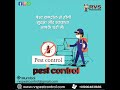 Pest Control Service Mumbai  RVS PEST CONTROL SERVICE Treatment for 🪳 🐜  🦎   justdialpestcontrol.in/