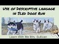 Use of Descriptive Language in Sled Dogs Run