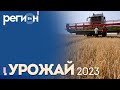 Регион LIFE | Урожай 2023 | ОТС LIVE — прямая трансляция