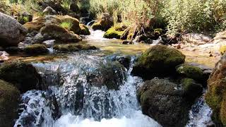 PINARGÖZÜ PİKNİK ALANI, PINARGÖZÜ MAĞARASI ,KONYA BEYŞEHİR,ISPARTA