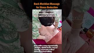 Back Meridian Massage for Stress Reduction