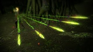 Path of Exile: Verdant Split Arrow Path of Exile: Verdant Split Arrow