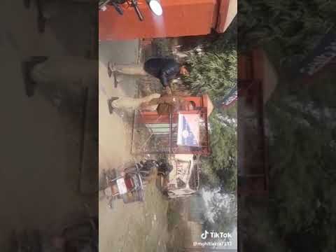 indian-police-fight-with-monkey-!!-indian-funny-videos