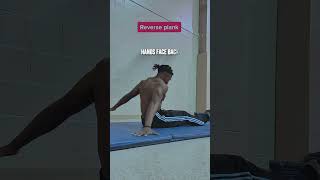 No Equipment Back Workout At Home
