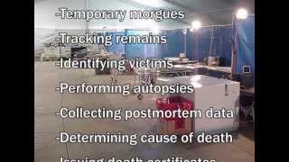 Download Lagu ESF-8: Fatality Management MP3