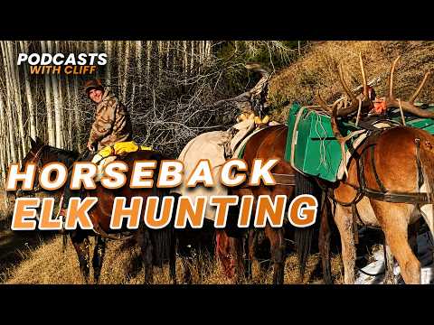 Backcountry Elk Hunting with Horses and Mules - TRUTHS