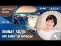 Юлия Пасечник – Живая вода или разбитые колодцы