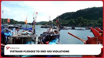 Vietnam pledges to end IUU violations | Vietnam Today