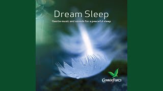 Dream Sleep