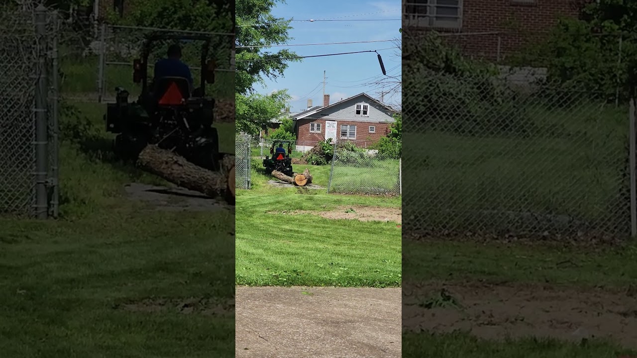 Ver Dragging a Big A$ Tree 🌳 🙄 in East Saint Louis Illinois no YouTube Ver Dragging a Big A$ Tree 🌳 🙄 in East Saint Louis Illinois no YouTube