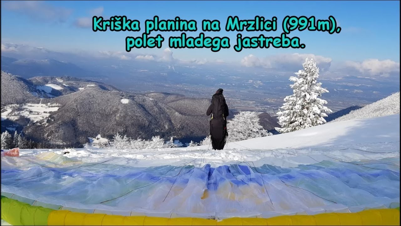 Kriška planina na Mrzlici | Let mladega jastreba