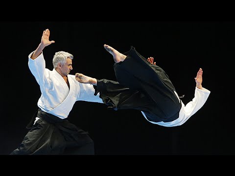 L'Aikido au 30e Festival des Arts Martiaux