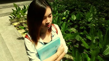 Computing Technology Assignment(Beauty and a Beat MV) UTAR