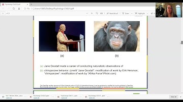 General Psychology Chapter 2 Lecture Video