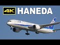 [4K] Plane spotting at Tokyo Haneda Airport 2022 / 羽田空港 JAL ANA