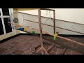 Cara Bikin Kandang Lovebird