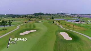 The Meadows at Mystic Lake Hole #9: Buffalo