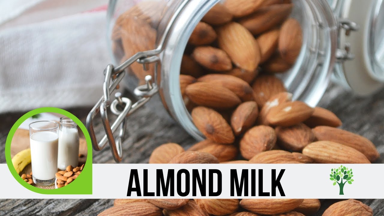 Almond Milk Recipe Vegan Nut Milk Recipe YouTube