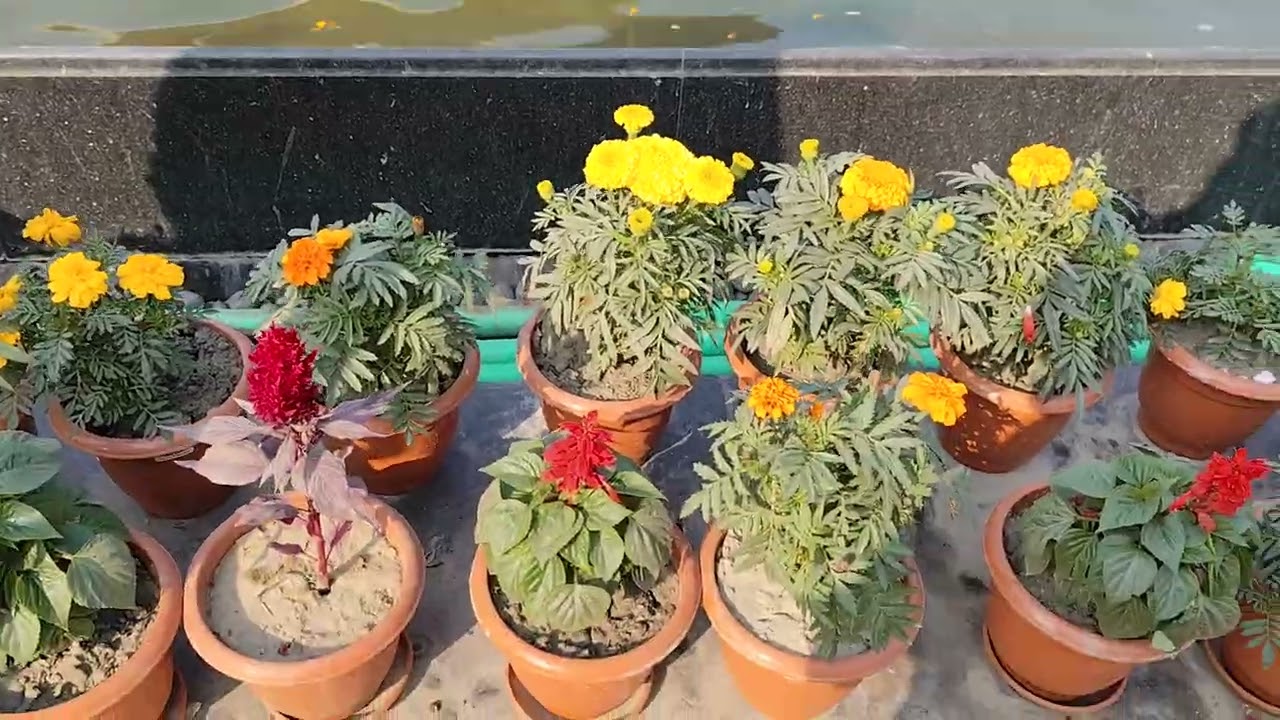 International Trade Fair 2026