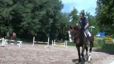markus fuchs beligneux haras