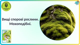 картинка: Вищі спорові рослини  Мохоподібні