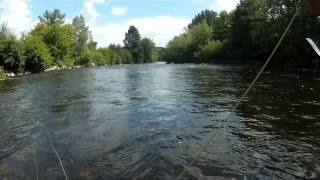 Découverte de la rivière L'allier et la Sioule