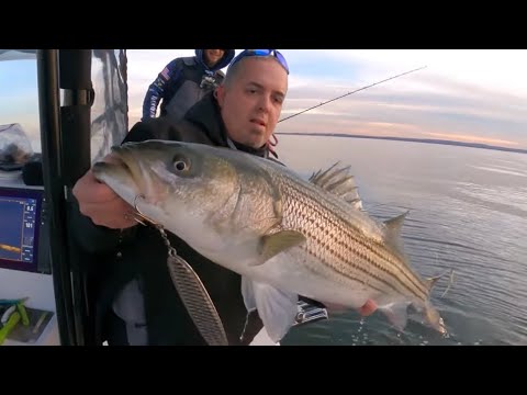 Poaching Stripers with a BANNED Fish Finder! Cheating with Simrad Forward Facing sonar