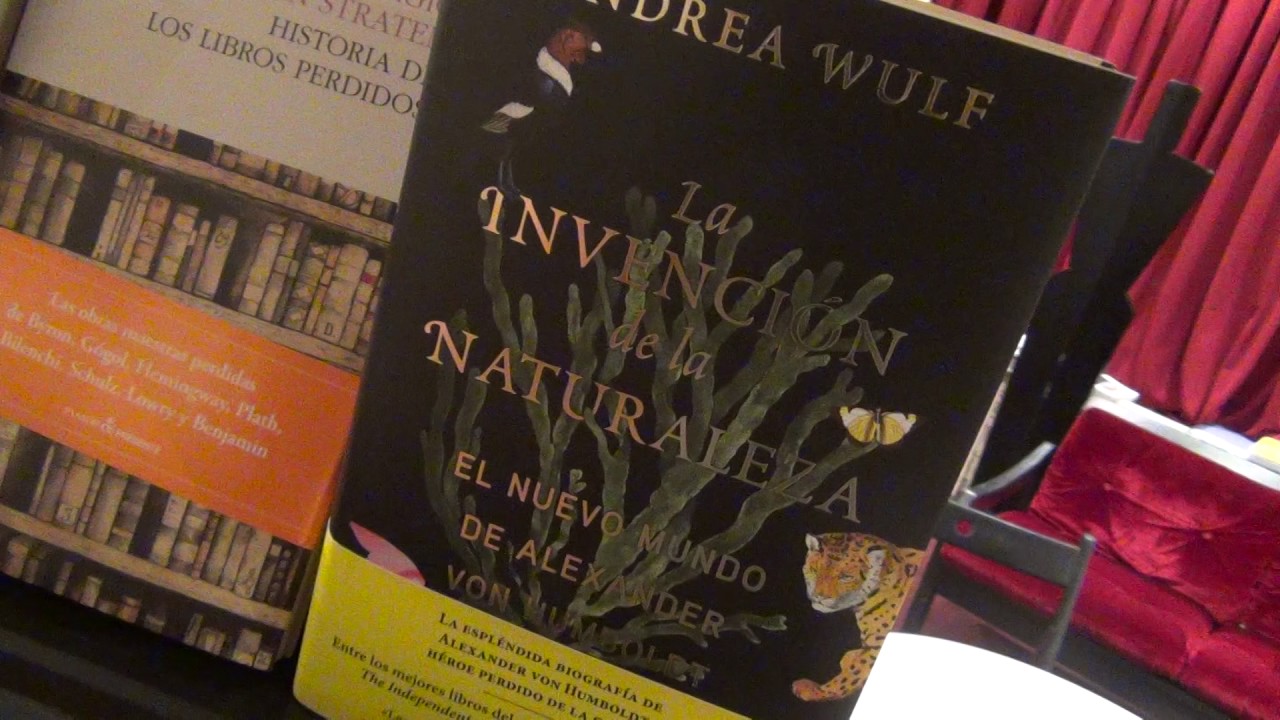 video phone beyonce mp3 Mannequin Challenge de les recomanacions nadalenques