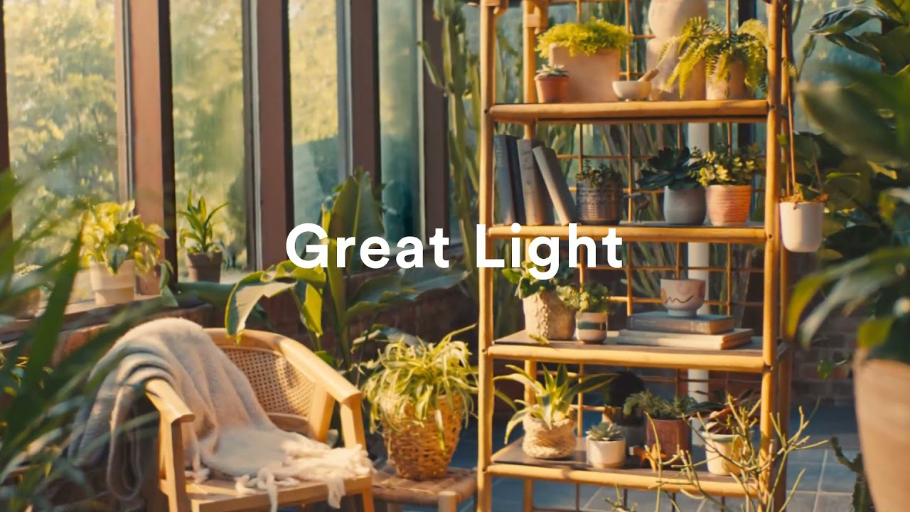 1150 Brandywine New Listing