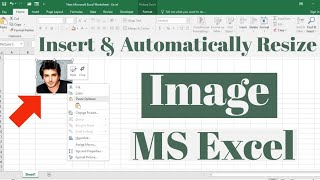 How to Insert and Automatically Resize an Image in Microsoft Excel | Adjust Image inside Excel Cell screenshot 3