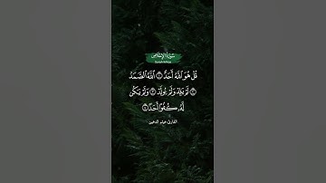 سورة الإخلاص || هيثم الدخين