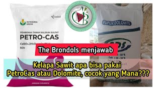 The Brondols Answered Can Palm Oil Use Petrocas Or Dolomite Which One Is Suitable