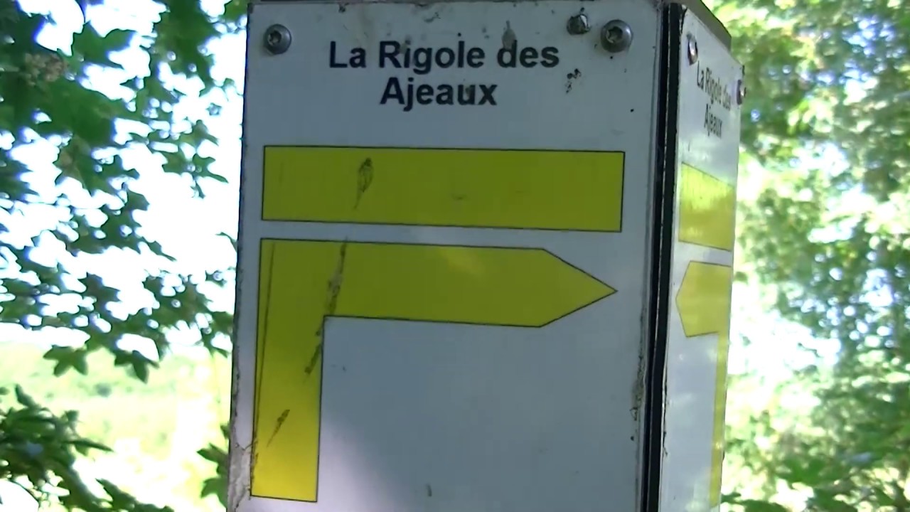 companies house Les balades estivales #1 : Riaillé