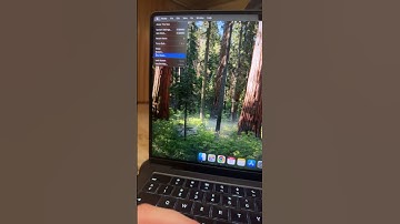 Safari Not Loading Websites On macOS