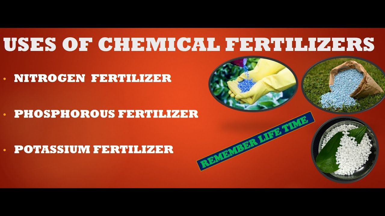 USES OF CHEMICAL FERTILIZERSSEE CLASS 10 NEPAL USES OF CHEMICAL