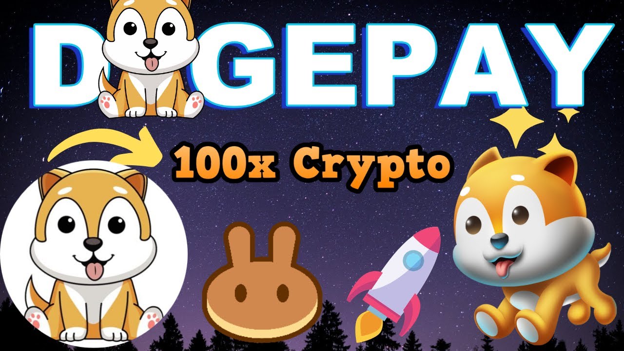 DogePay NEW PancakeSwap ICO LIVE 100x Crypto 🚀 Huge USDT Rewards
