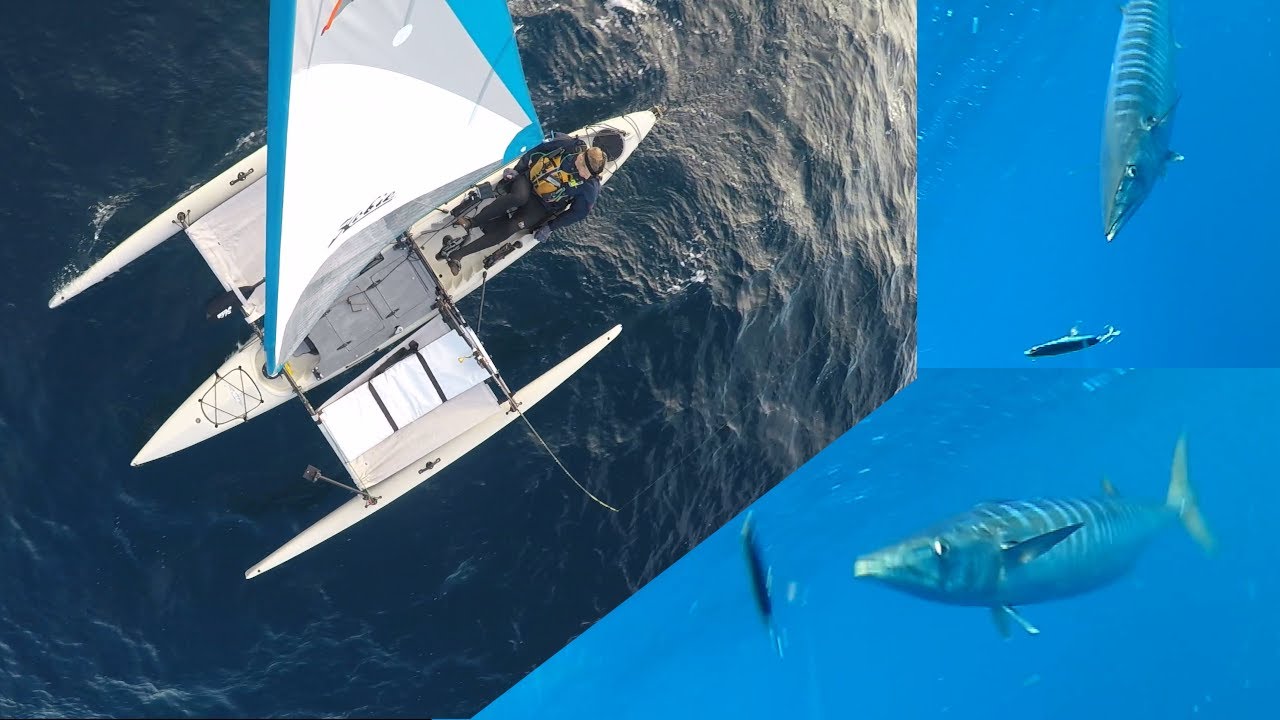 Рыбалка на ваху под парусом // Приключенческая рыбалка на острове на двухместном паруснике Hobie